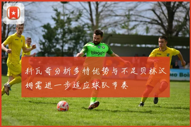 科瓦奇分析多特优势与不足贝林汉姆需进一步适应球队节奏