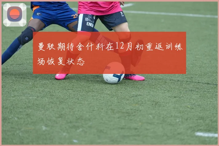 曼联期待舍什科在12月初重返训练场恢复状态