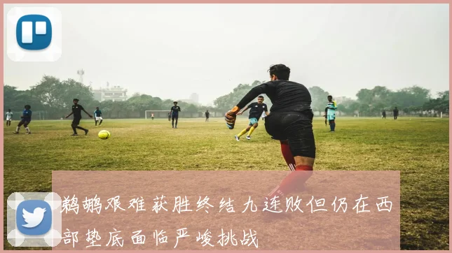 鹈鹕艰难获胜终结九连败但仍在西部垫底面临严峻挑战