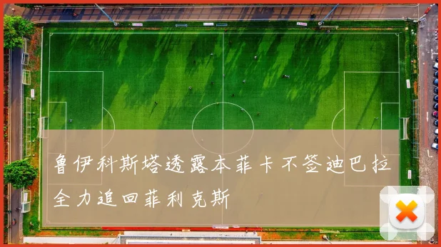 鲁伊科斯塔透露本菲卡不签迪巴拉全力追回菲利克斯
